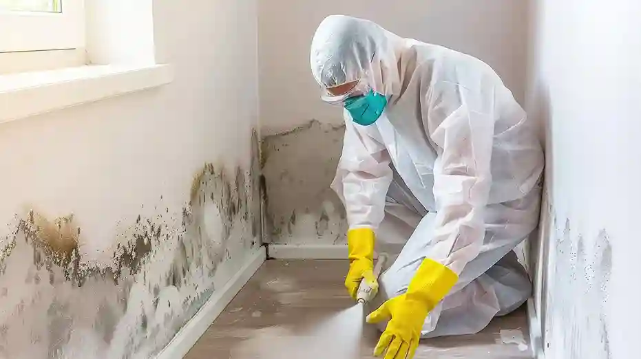 How to Test for Mold Before Buying or Selling a Home